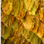 Brindle | Buttery Caramel, Tobacco, Patchouli | Non-toxic Beeswax Candle